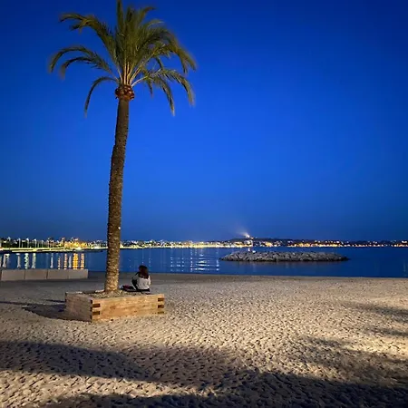 Vue Juan Les Pins 公寓 昂蒂布