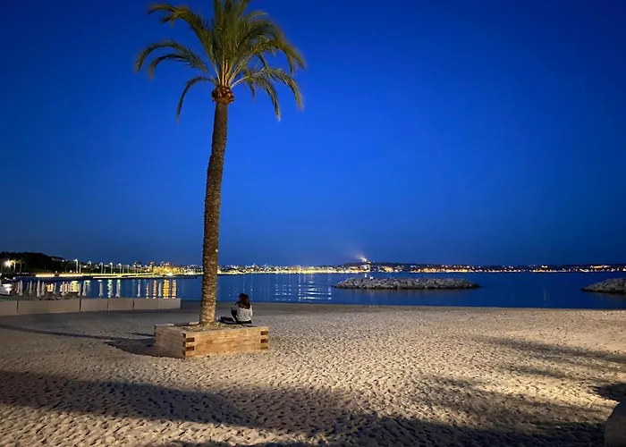 Vue Juan Les Pins アパート アンティーブ